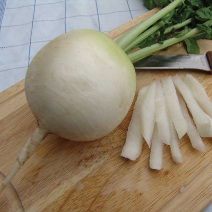 Picture of Radish Accord F1